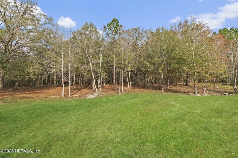 Natural landscape and outdoor views near in Jacksonville (Image 29). Natural landscape and outdoor views near in Jacksonville (Image 29).