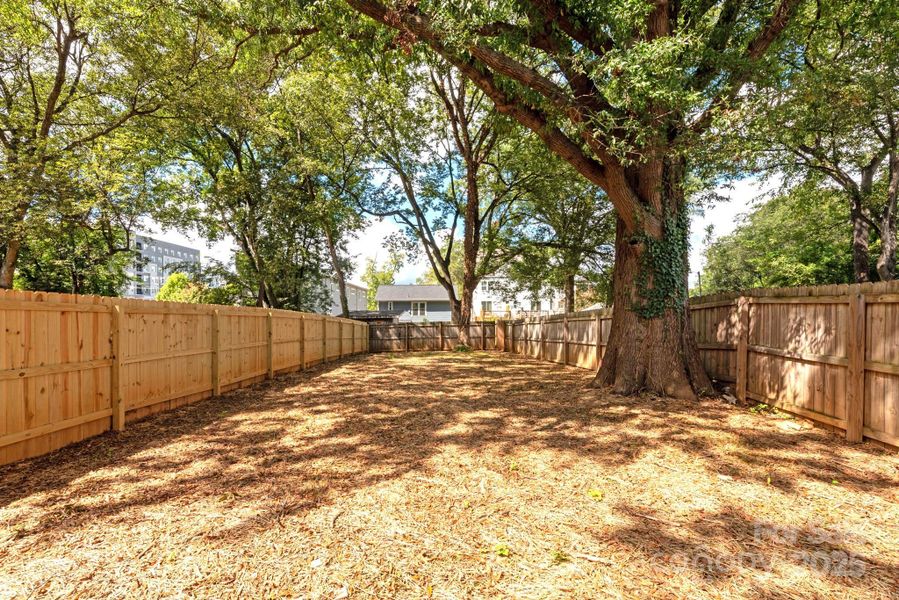 Large fenced-in backyard Large fenced-in backyard