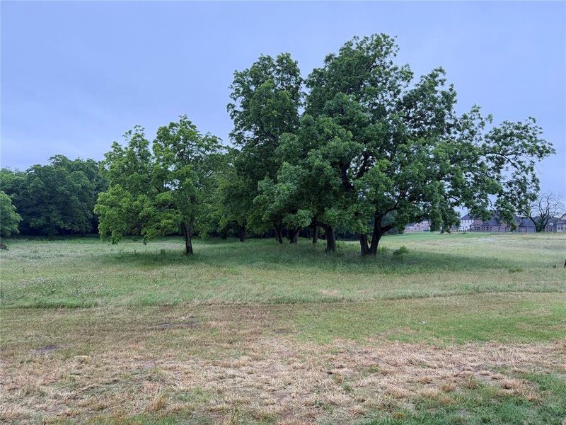 View of back of property, looking southwest. View of back of property, looking southwest.
