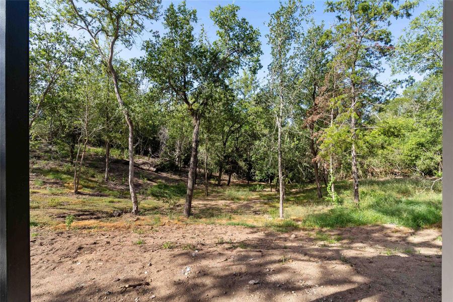 View of undeveloped land
