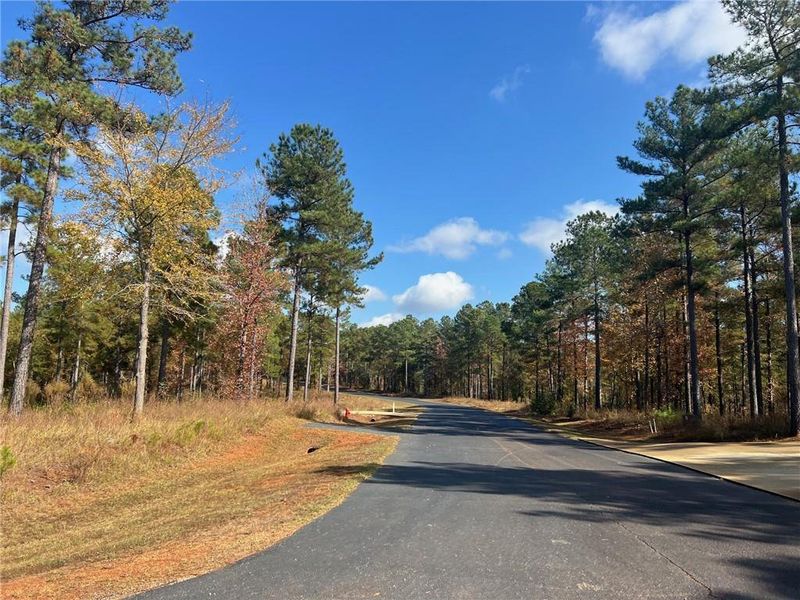 Natural landscape and outdoor views near  in Eatonton (Image 11).