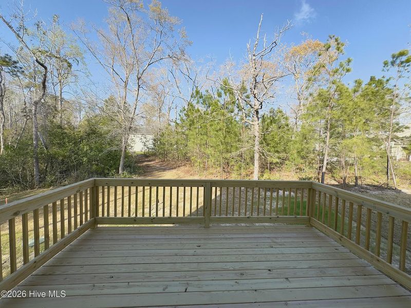 Natural landscape and outdoor views near Rutledge in Shallotte (Image 27).