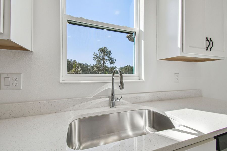 Representative interior finishes for a home built from the 50 ' - Saratoga by William Ryan Homes in Tamarack at Two Rivers, Zephyrhills (Image 19).