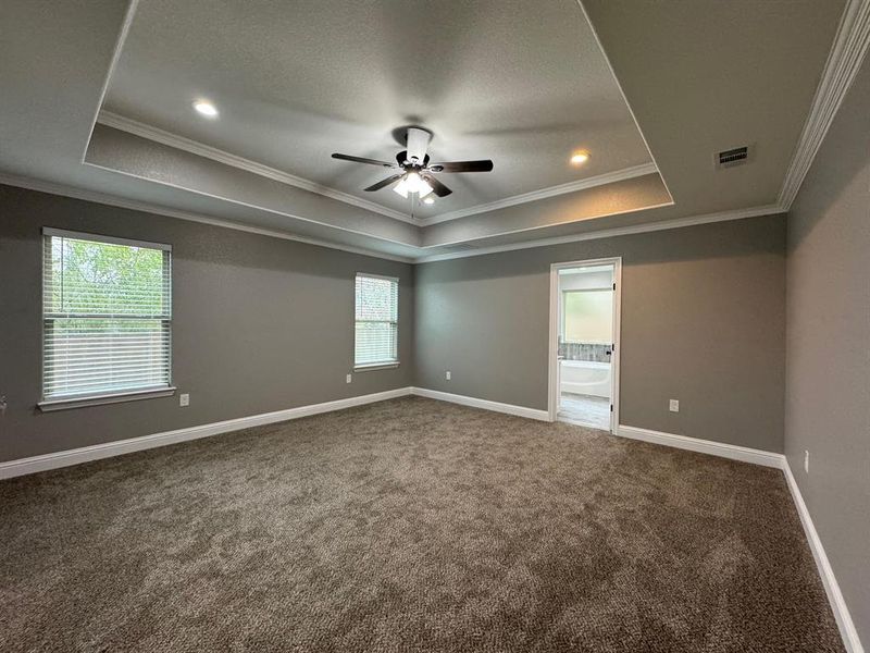 Carpeted spare room featuring a healthy amount of sunlight, a raised ceiling, and ornamental molding