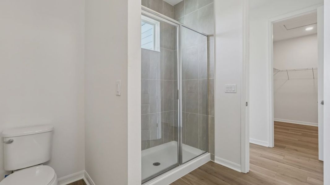 The Primary Bathroom