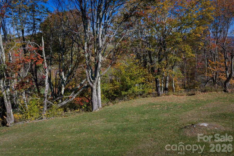Natural landscape and outdoor views near  in Banner Elk (Image 11).