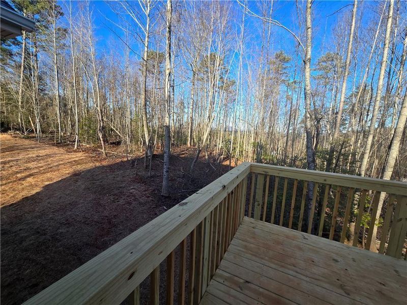 Natural landscape and outdoor views near  in Demorest (Image 31).