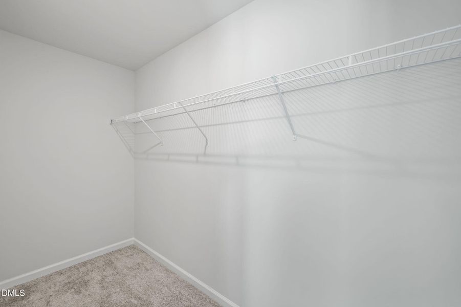 47-web-or-mls-P1119350