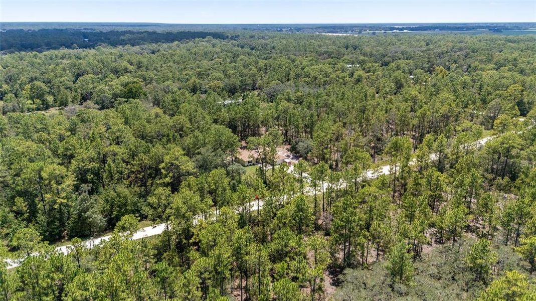 Image 34 of a home in Rainbow Springs.