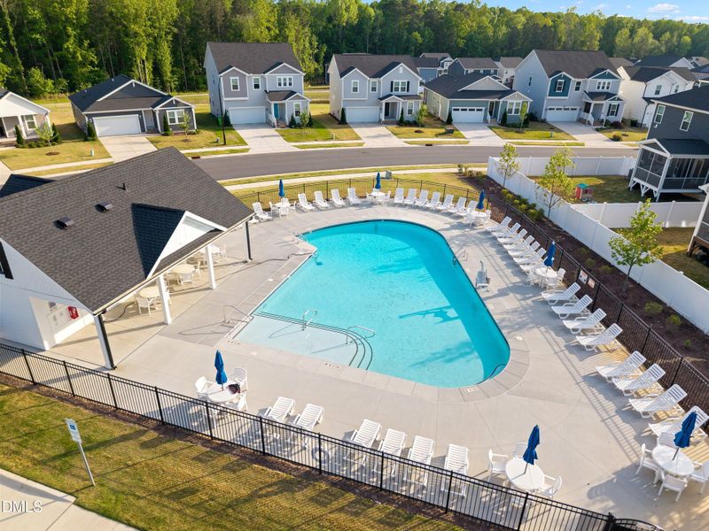 16-313 Spelt - Community_ (6)