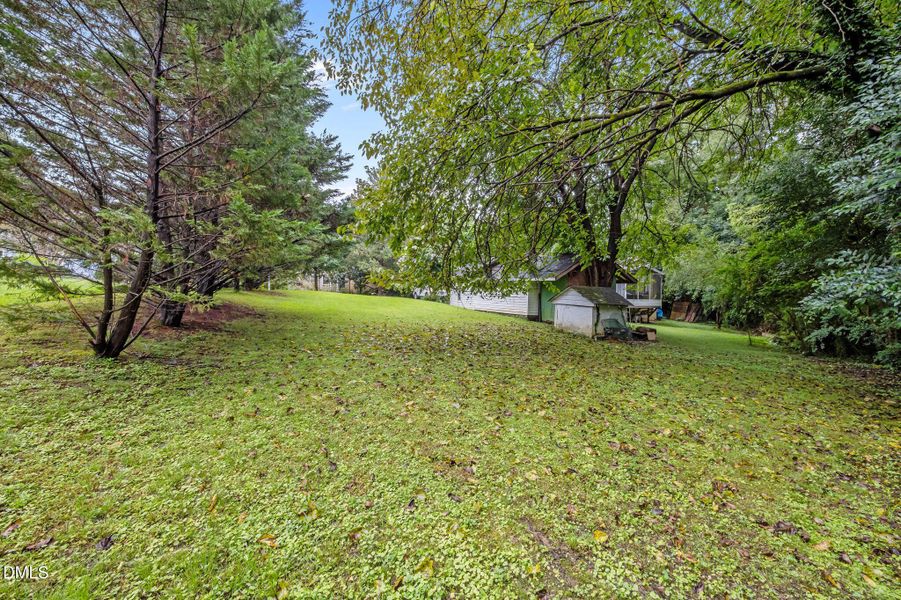 10-web-or-mls-P1078523