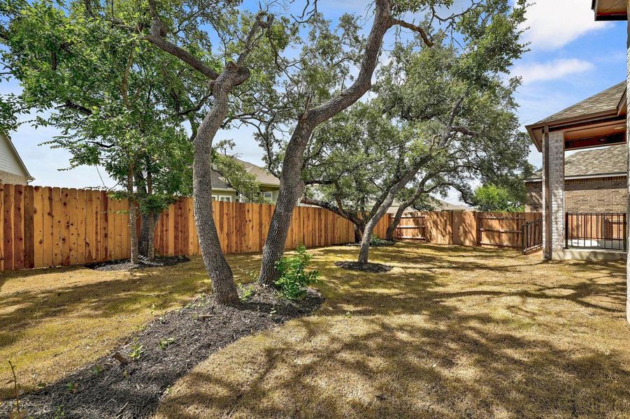 View of fenced backyard