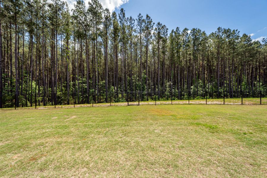 Natural landscape and outdoor views near in Ravenel (Image 61). Natural landscape and outdoor views near in Ravenel (Image 61).