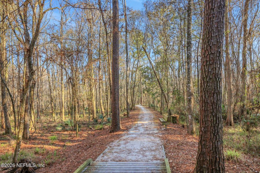 Natural landscape and outdoor views near  in St. Augustine (Image 69).