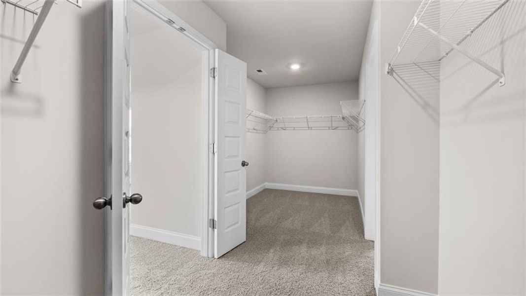 Spacious, unfurnished interior of a new home in Westland, Bogart (Image 21).