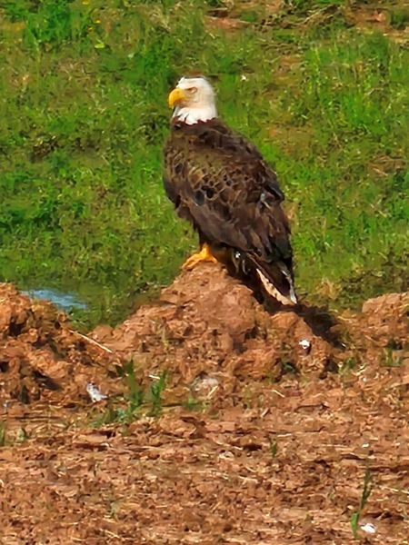 Image 40 of a home in Fulshear Lakes. Image 40 of a home in Fulshear Lakes.