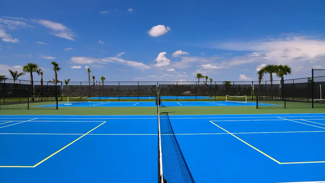Community amenities in Skye Ranch Community Group Page, Sarasota (Image 101).