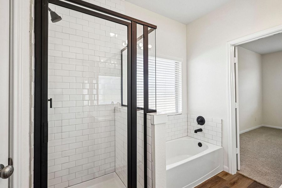 Serene owner's bath Serene owner's bath