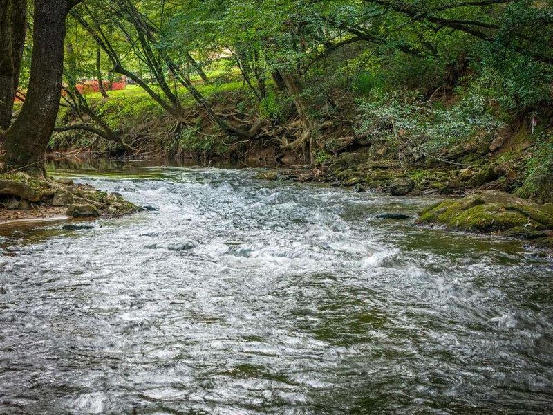 Natural landscape and outdoor views near  in Epworth (Image 58).