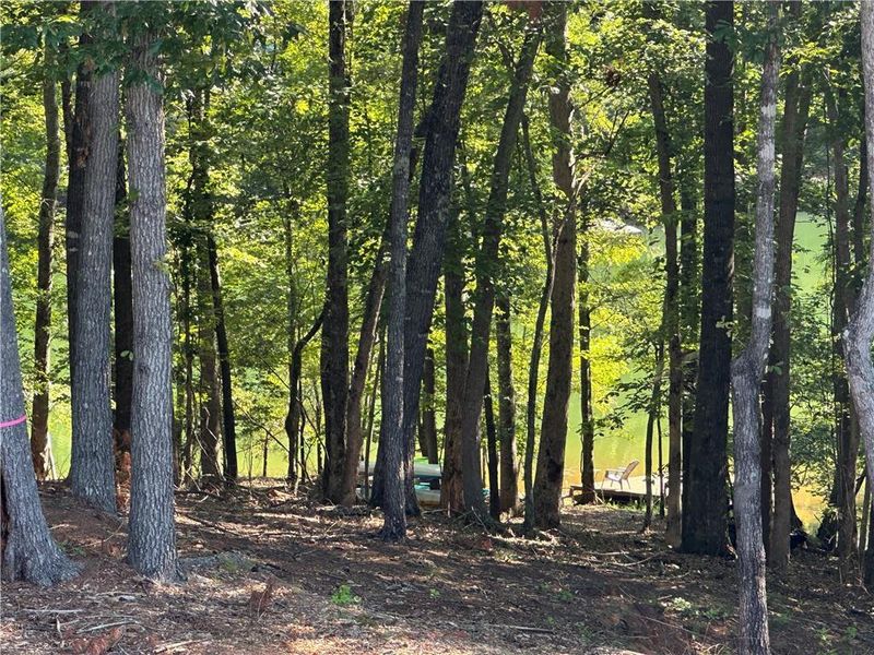 Natural landscape and outdoor views near in Gainesville (Image 37). Natural landscape and outdoor views near in Gainesville (Image 37).