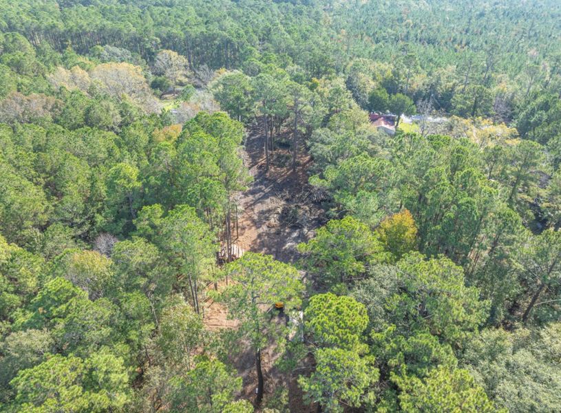 Natural landscape and outdoor views near  in McClellanville (Image 13).