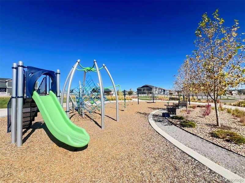 Community amenities in Looking Glass, Parker (Image 29).