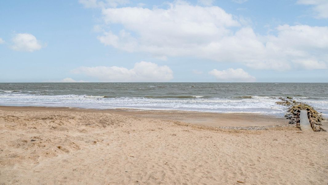 Natural landscape and outdoor views near  in Edisto Island (Image 50).