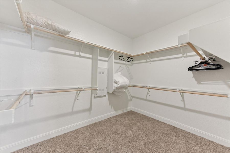 Spacious closet with carpet Spacious closet with carpet