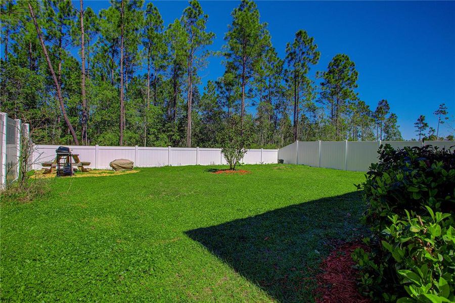 Exterior details and patio area of a home in Sawmill Branch Express, Palm Coast (Image 25).