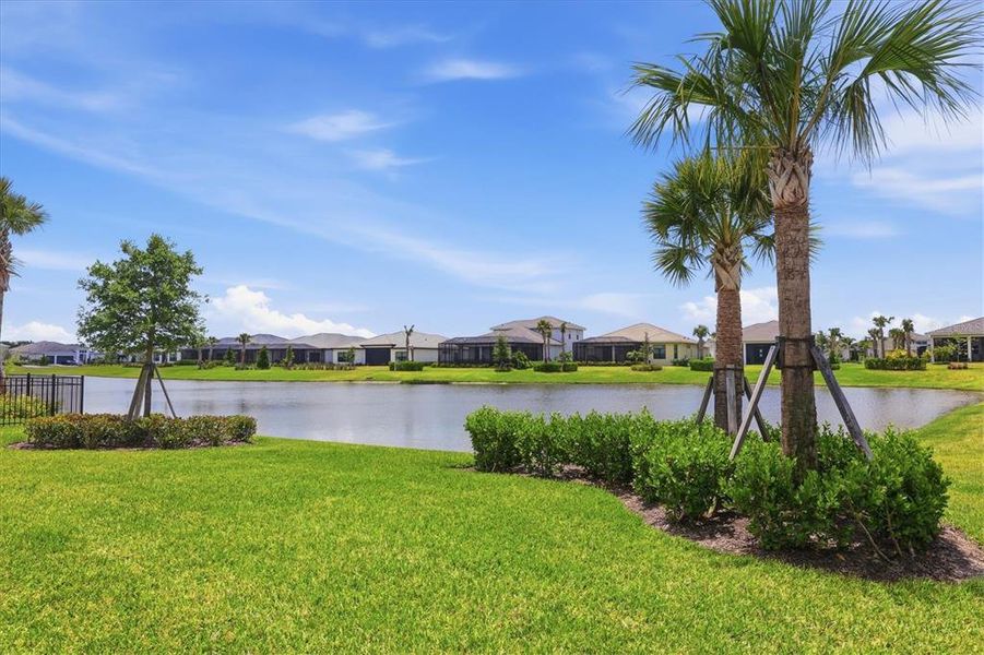 Natural landscape and outdoor views near  in Sarasota (Image 48).