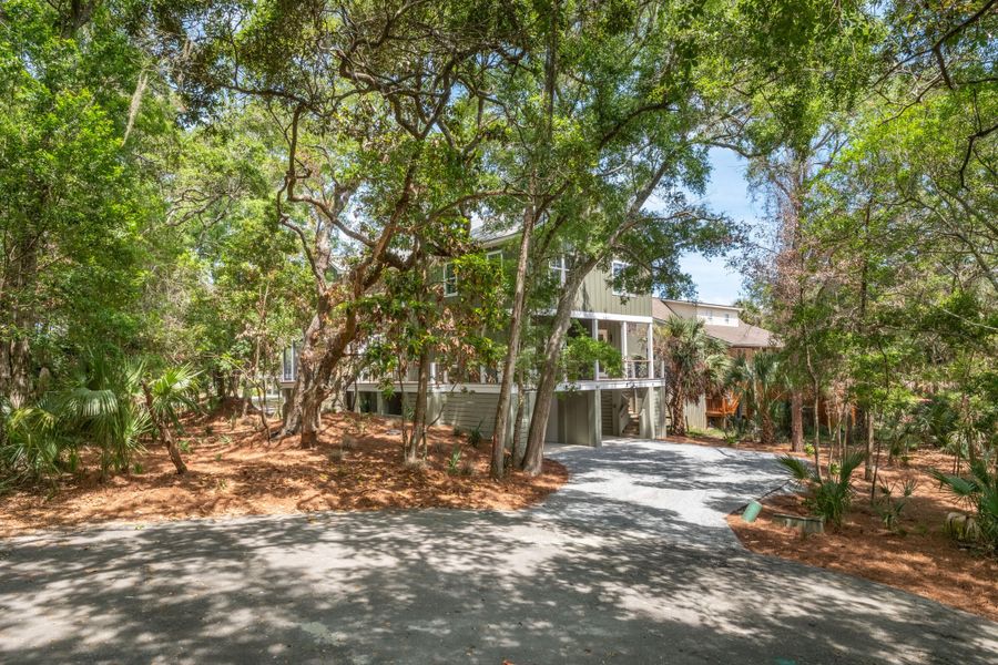Natural landscape and outdoor views near  in Edisto Island (Image 46).