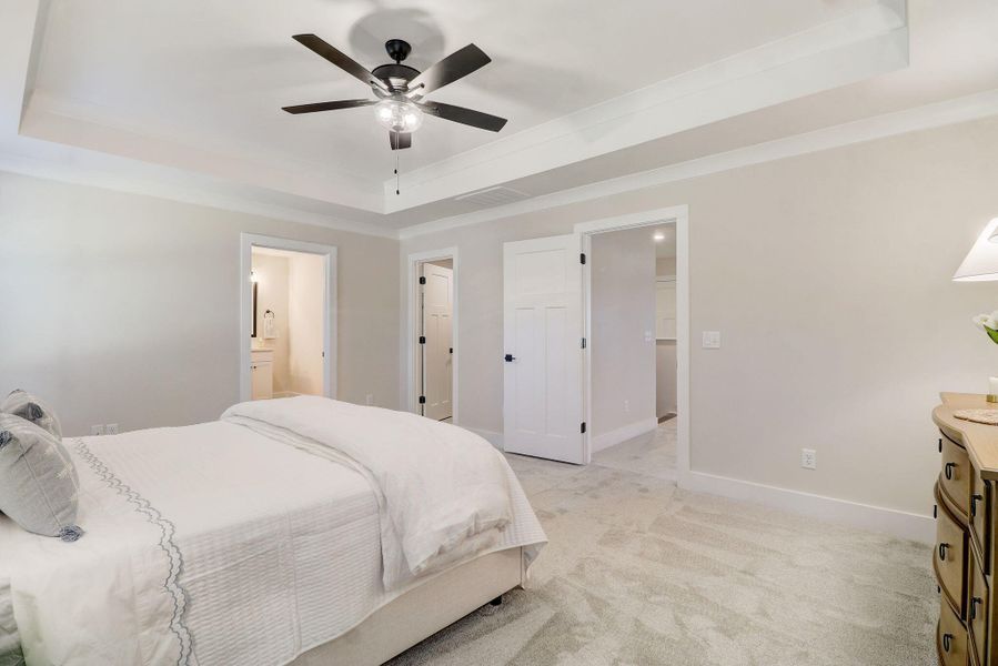 34-web-or-mls-Irish Setter St-032 34-web-or-mls-Irish Setter St-032