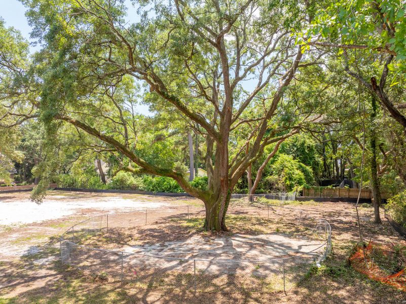 Natural landscape and outdoor views near  in Mount Pleasant (Image 23).