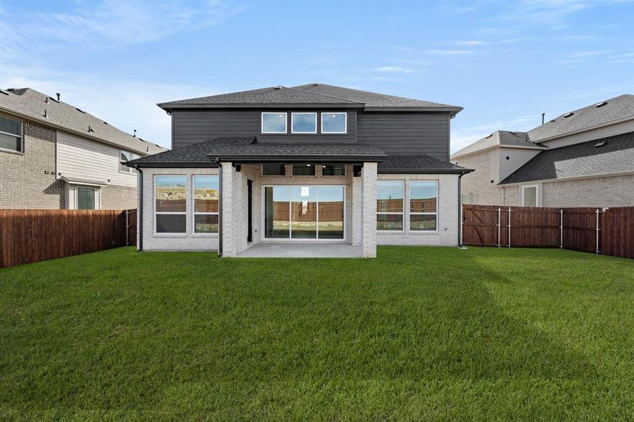 3_1200 Flock- Back-2