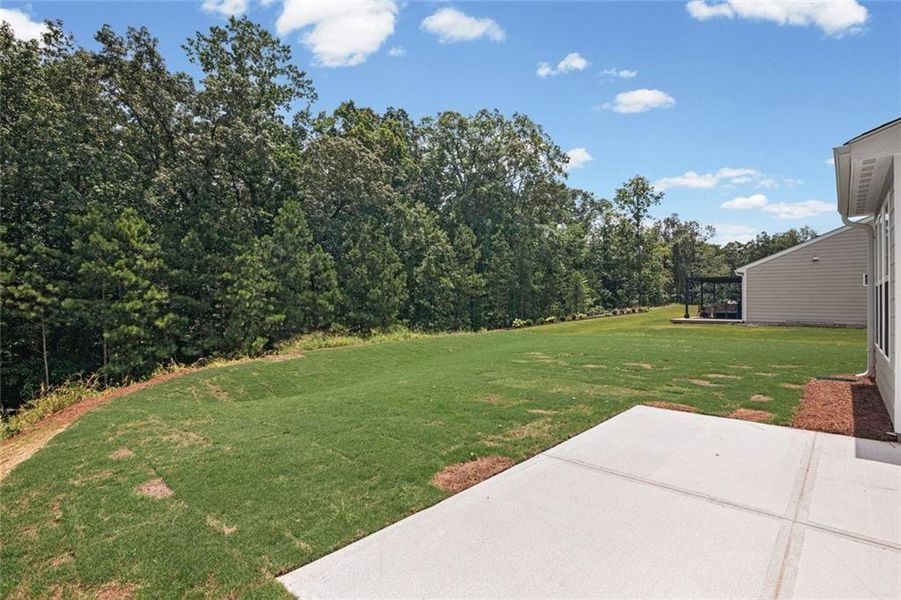 Exterior details and patio area of a home in Pickens Bluff, Dallas (Image 3).