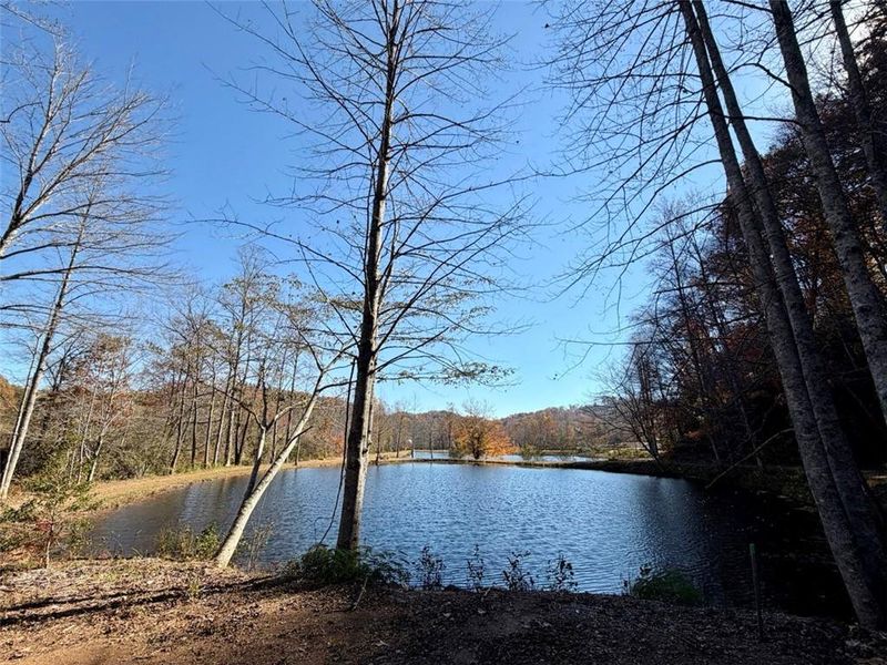 Natural landscape and outdoor views near in Clarkesville (Image 40). Natural landscape and outdoor views near in Clarkesville (Image 40).
