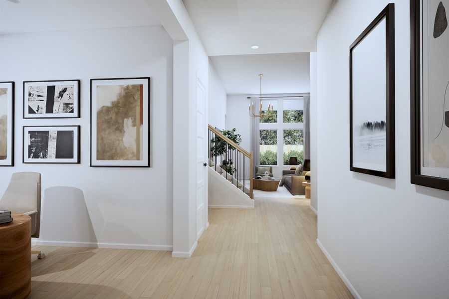 The Primrose - Entry The Primrose - Entry