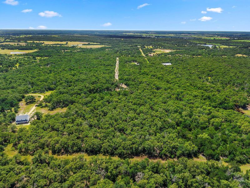 Natural landscape and outdoor views near in Buckholts (Image 19). Natural landscape and outdoor views near in Buckholts (Image 19).