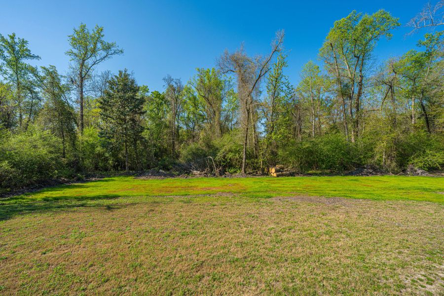 Natural landscape and outdoor views near  in Cottageville (Image 36).