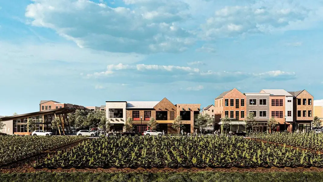 Community Lifestyle Community Lifestyle