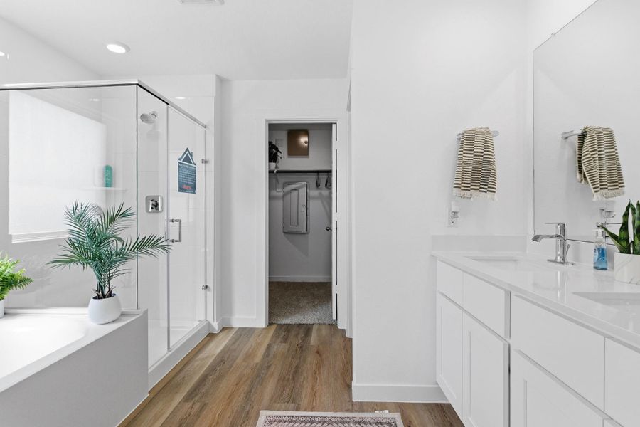 representative photo