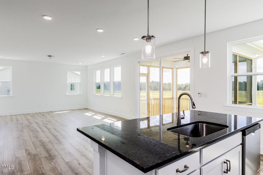 Fox Field Farms_Lot 16_Shenandoah_QMI (1