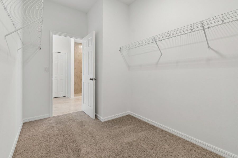 Owner's Closet