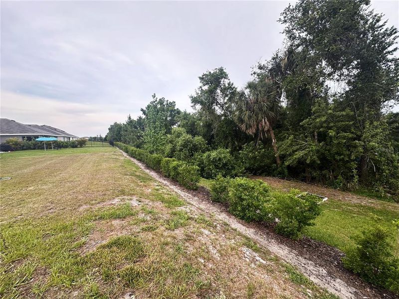 Natural landscape and outdoor views near Silverstone North in Palmetto (Image 31).