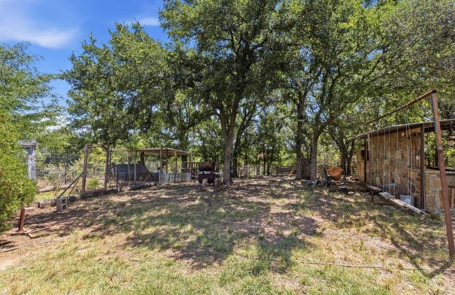 Natural landscape and outdoor views near  in Brownwood (Image 21).