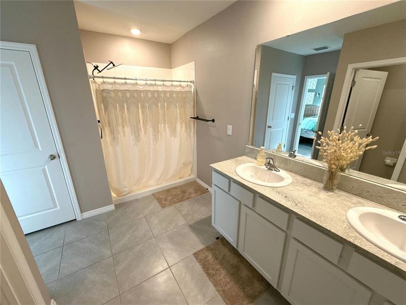 Master Bath Curtain
