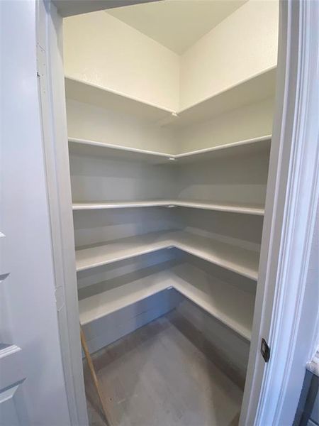 Large corner pantry with lots of storage