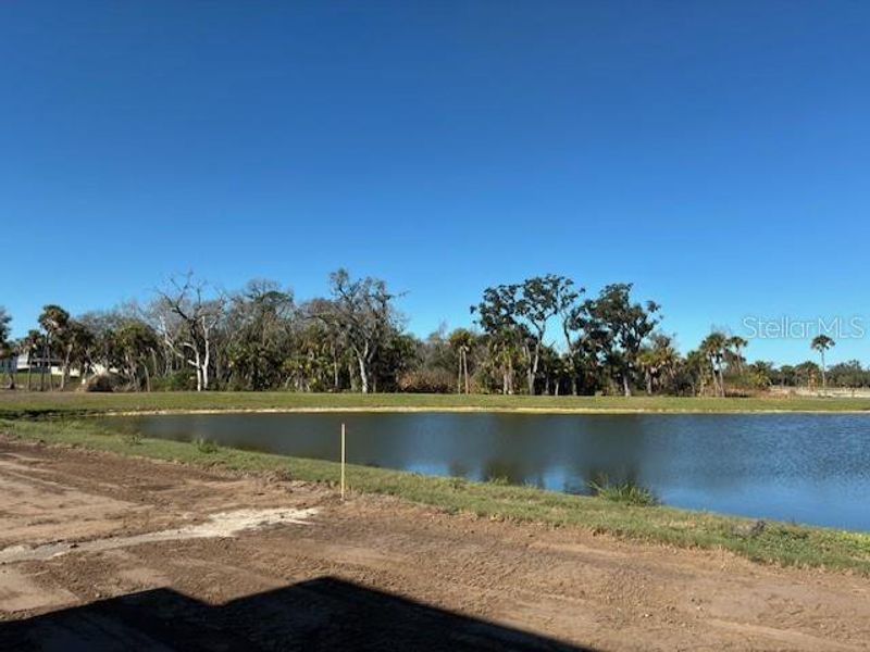 Natural landscape and outdoor views near Oakfield Trails Traditional in Parrish (Image 8).