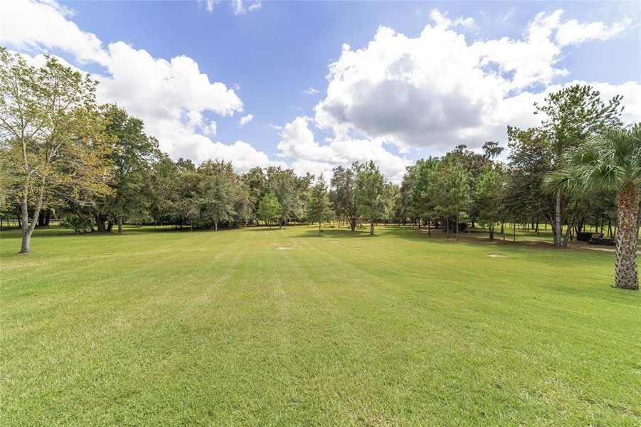 Natural landscape and outdoor views near  in Williston (Image 69).