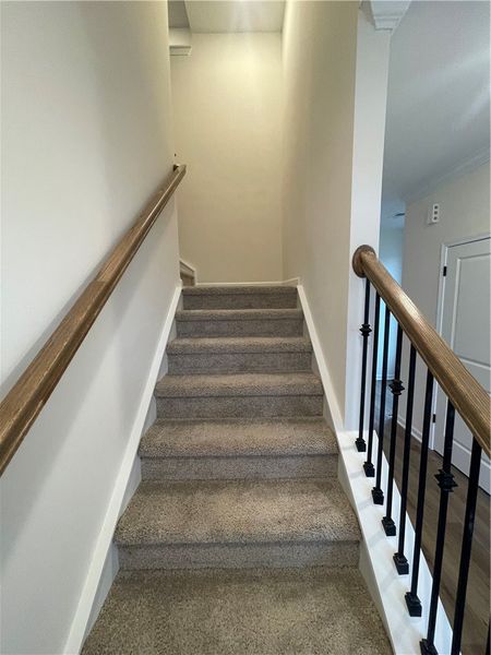 Spacious, unfurnished interior of a new home in Springwood Grove, Central (Image 31).